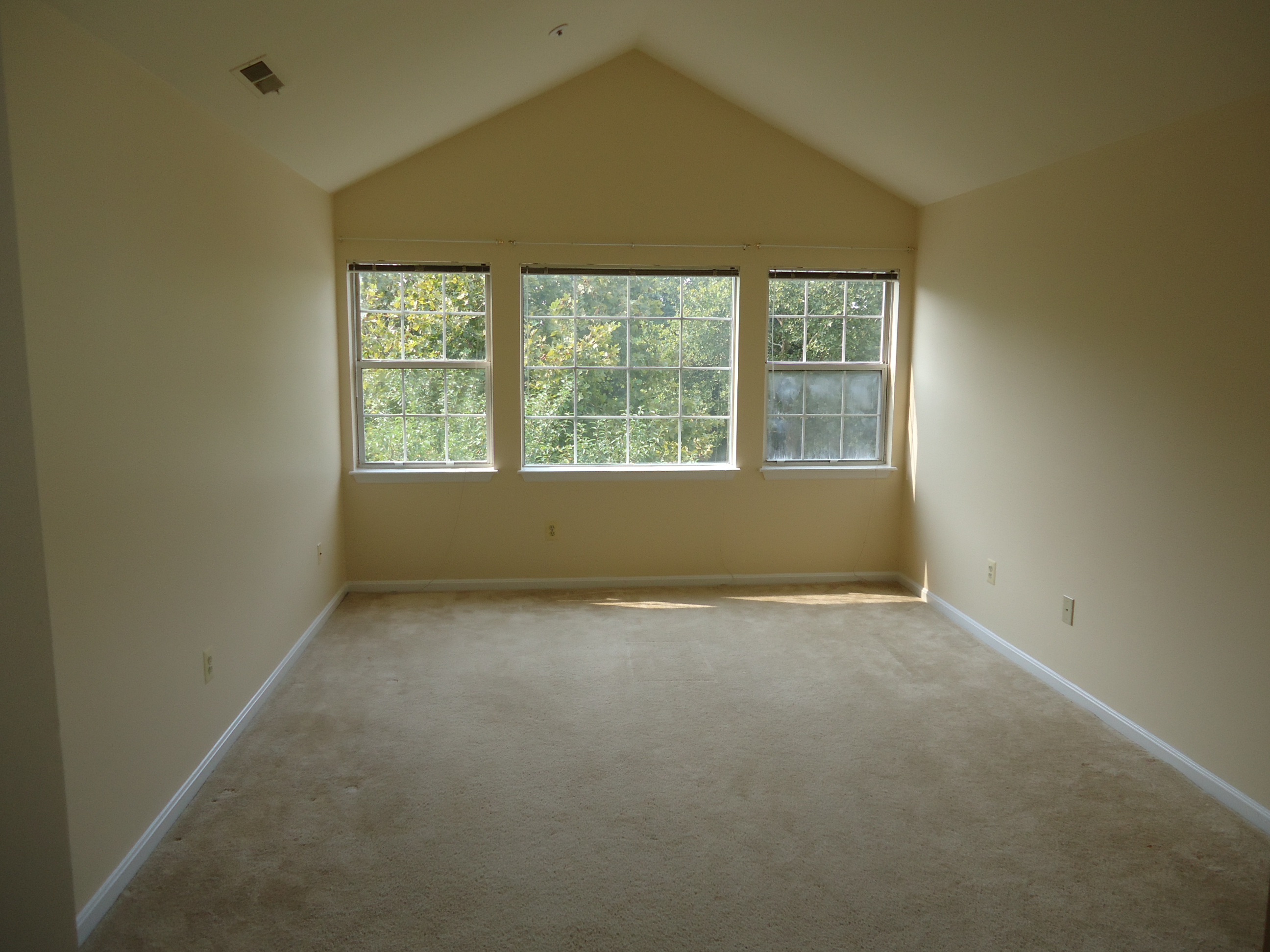 Master Bedroom With Cathedral Ceiling