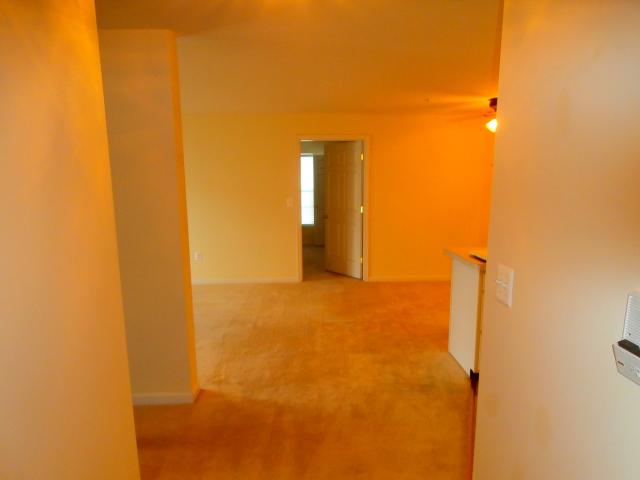 Foyer to Living Area