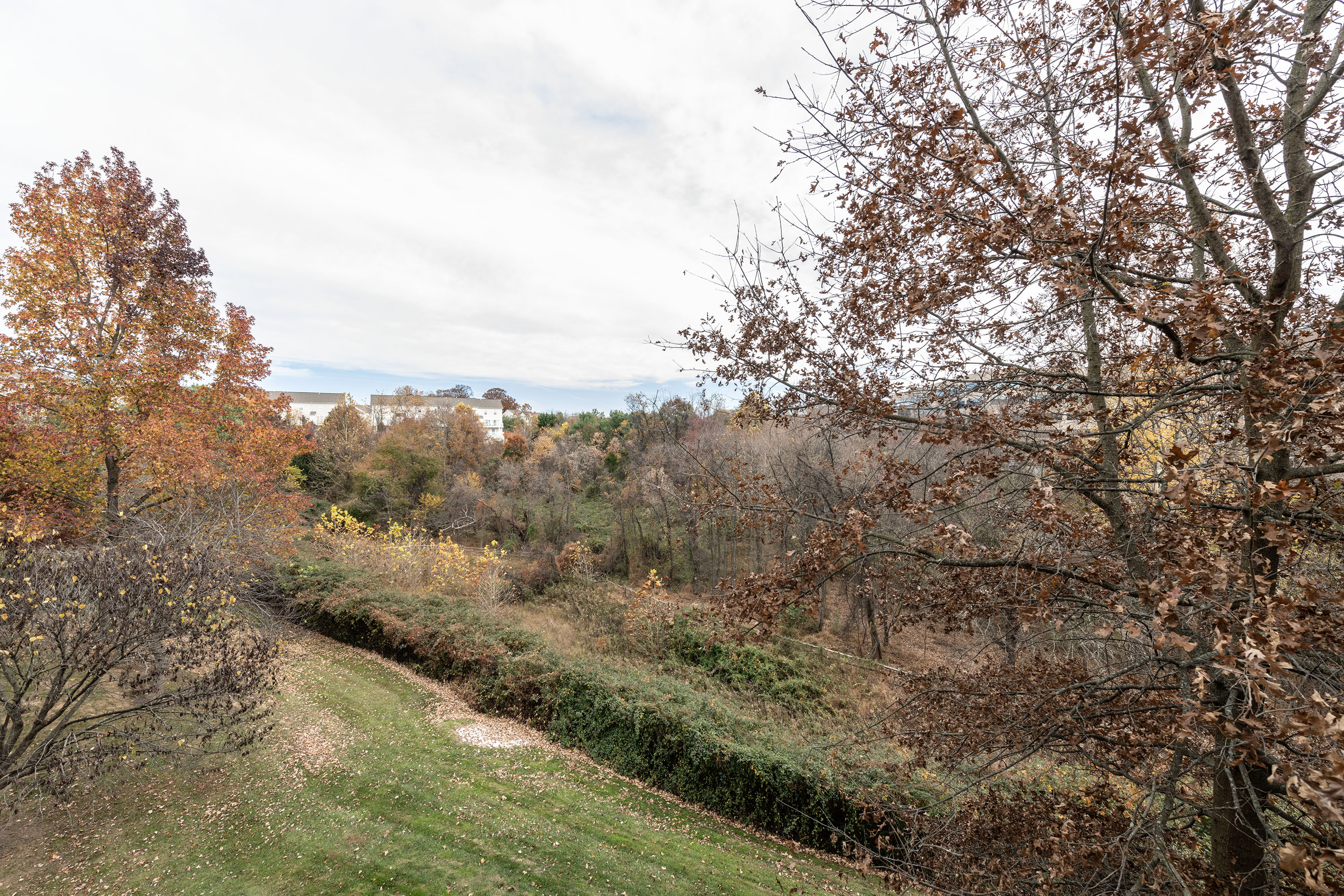 9473 Ashlyn Circle0029.jpg