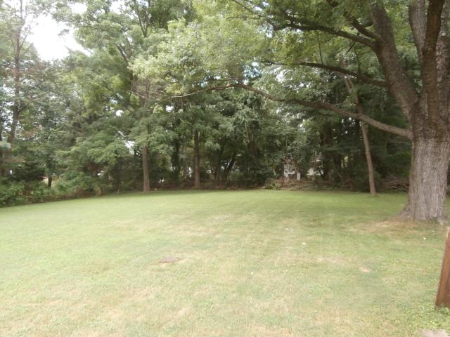 Level Back Yard