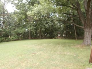 Level Back Yard