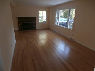 Living Room With Fireplace