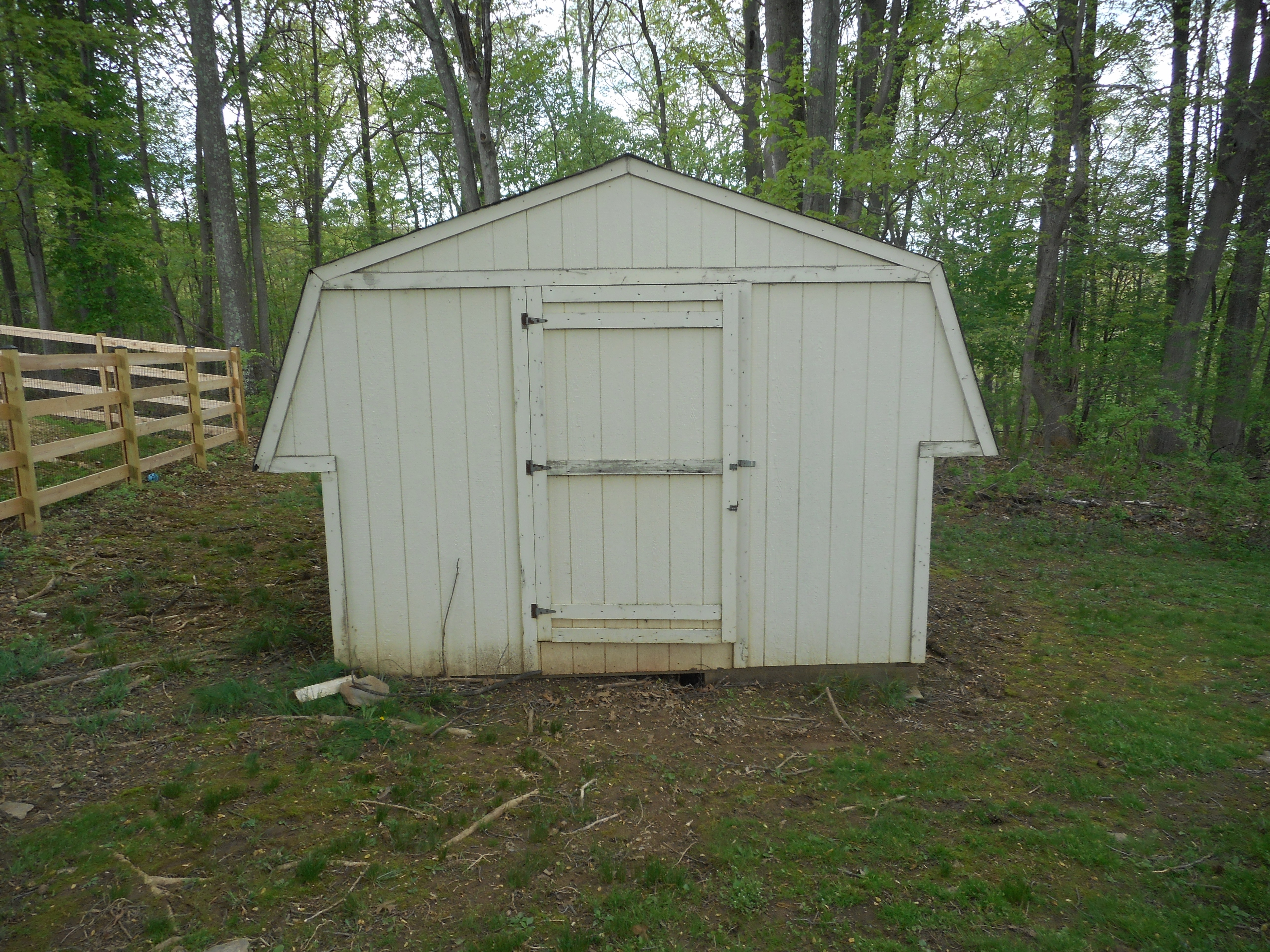 Shed