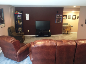 Lower level Family Room