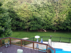 Deck Overlooking Pool
