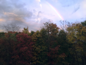 Rainbow