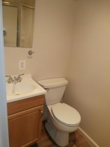 Lower Level Full Bathroom