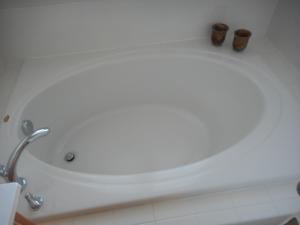 Master Bath Soaking Tub
