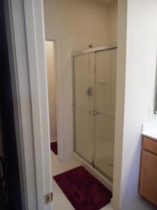 Master Bath Shower