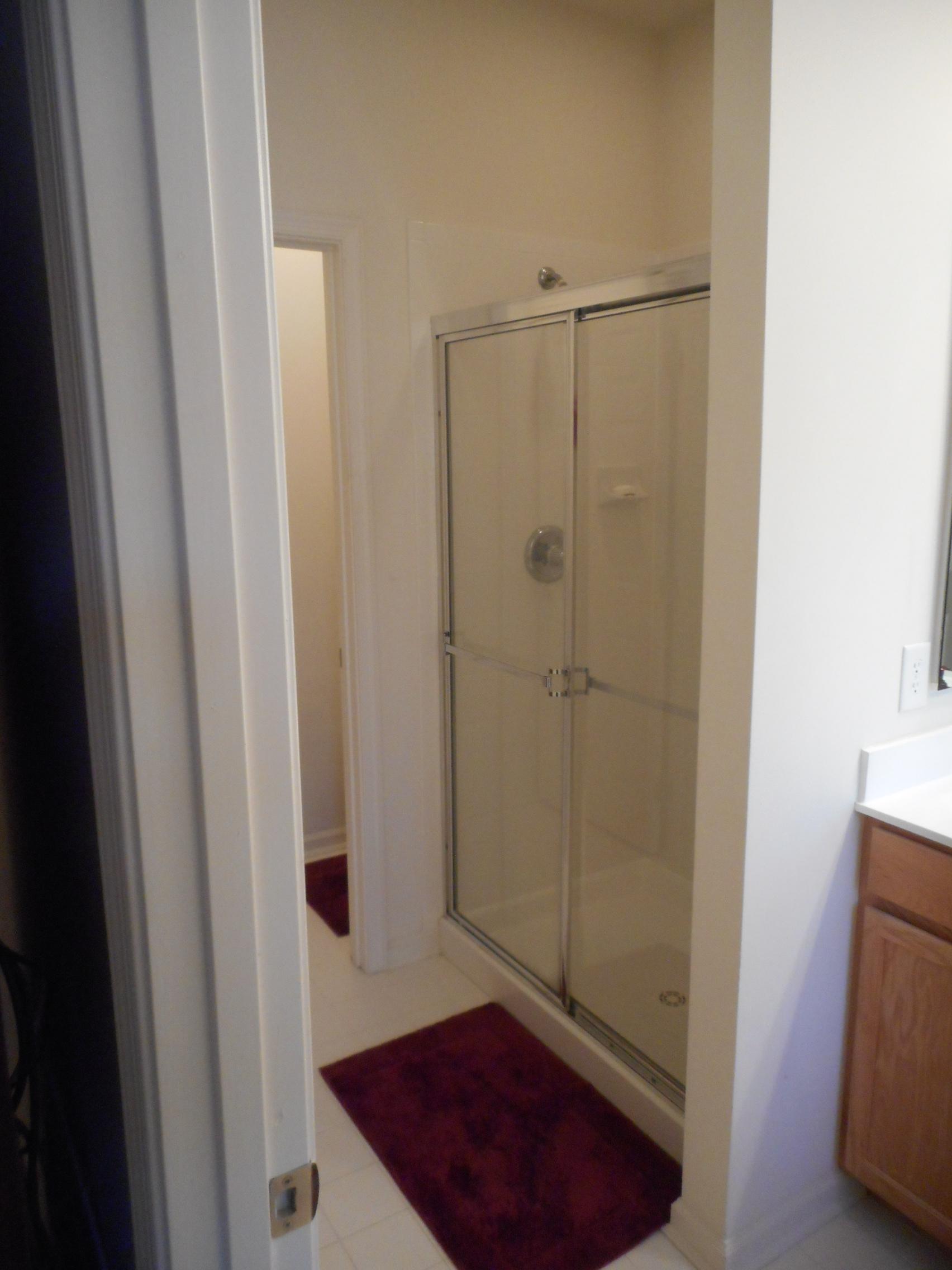 Master Bath Shower
