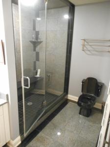 Steam Shower