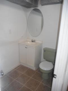 Lower Level Bathroom