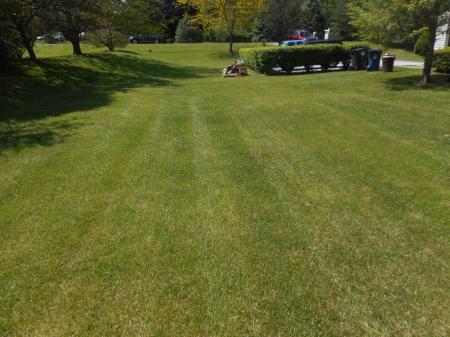 SIDE YARD