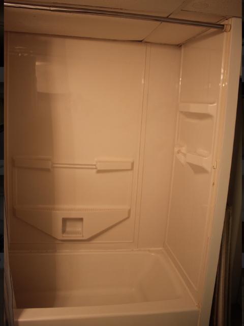 Lower Level Bathroom