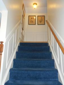 Picture Moulding On Steps