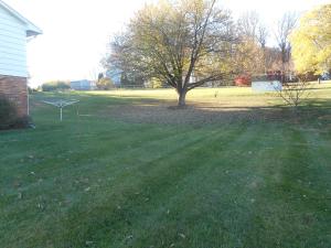Side Yard
