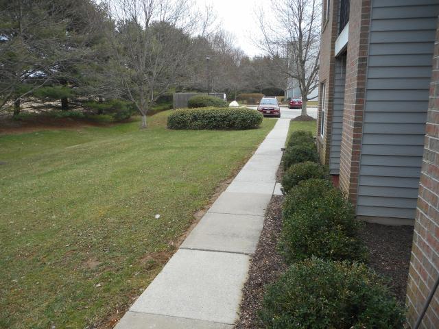Walk Way From Rear Door