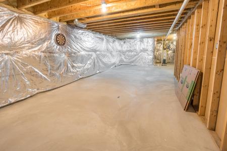 Basement Storage 