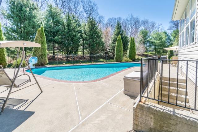 Enjoy The Pool