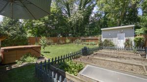 BACK YARD GARDEN