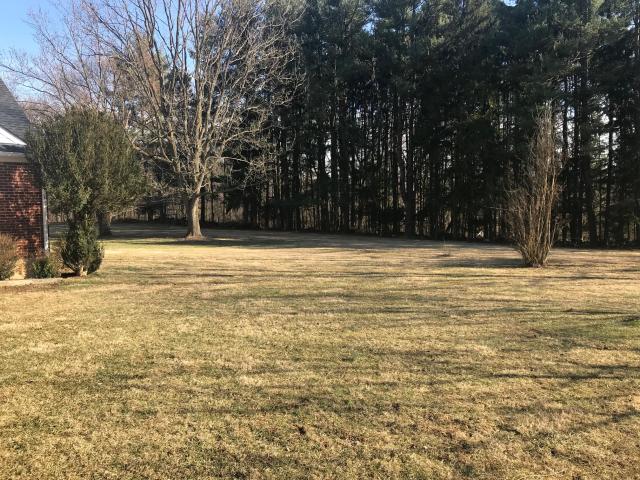 3.97 ACRES +/-