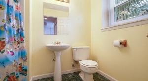 Lower Level Bathroom