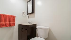 Lower Level  Bathroom 