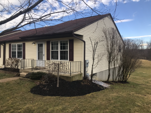 Side Yard