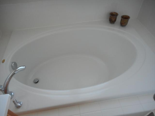 Master Bath Soaking Tub